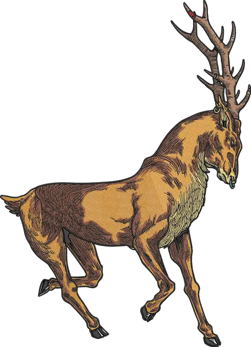 Animal Digitizing Example